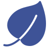 icons8-leaf-100-1